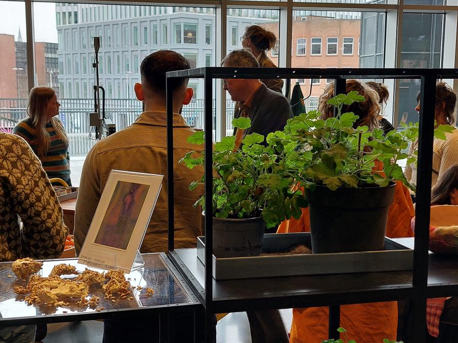 Spiren set fra rulletrappen på niveau 1, Dokk1